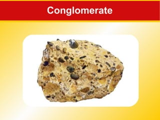Conglomerate 
