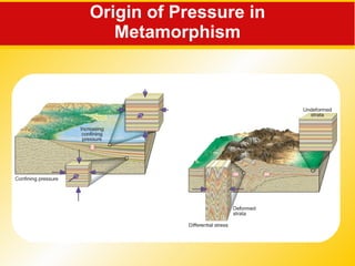 Origin of Pressure in Metamorphism 
