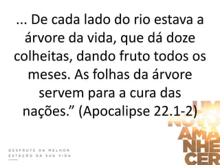 ... De cada lado do rio estava a
árvore da vida, que dá doze
colheitas, dando fruto todos os
meses. As folhas da árvore
servem para a cura das
nações.” (Apocalipse 22.1-2)
 