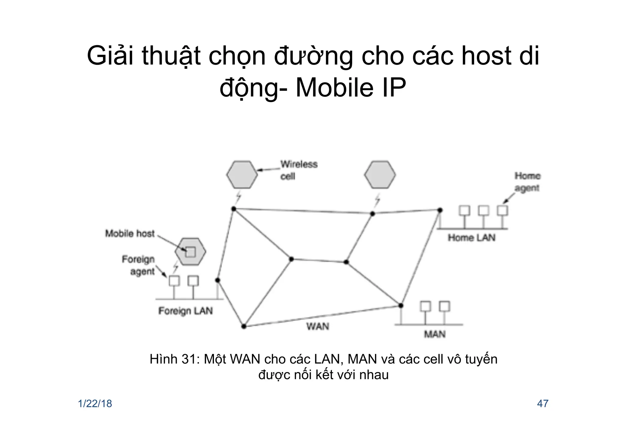 Giải thuật chọn đường cho các host di
động- Mobile IP
1/22/18 47
Hình 31: Một WAN cho các LAN, MAN và các cell vô tuyến
được nối kết với nhau
 