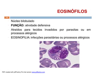 EOSINÓFILOS
     10

          ¨   Núcleo bilobulado
          ¨   FUNÇÃO: atividade defensiva
          ¨   Atraídos para tecidos invadidos por parasitas ou em
              processos alérgicos
          ¨   EOSINOFILIA: infecções parasitárias ou processos alérgicos




PDF created with pdfFactory Pro trial version www.pdffactory.com
 