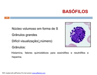 BASÓFILOS
     11




          ¨   Núcleo volumoso em forma de S
          ¨   Grânulos grandes
          ¨   Difícil visualização(↓número)
          ¨   Grânulos:
              Histamina, fatores quimiotáticos para eosinófilos e neutrófilos e
              heparina.




PDF created with pdfFactory Pro trial version www.pdffactory.com
 