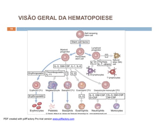 VISÃO GERAL DA HEMATOPOIESE
     19




PDF created with pdfFactory Pro trial version www.pdffactory.com
 