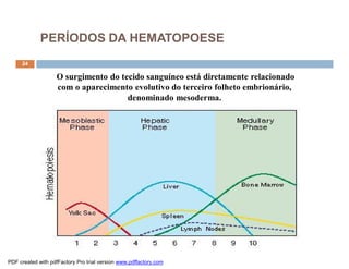 PERÍODOS DA HEMATOPOESE
     24

                    O surgimento do tecido sanguíneo está diretamente relacionado
                    com o aparecimento evolutivo do terceiro folheto embrionário,
                                      denominado mesoderma.




PDF created with pdfFactory Pro trial version www.pdffactory.com
 