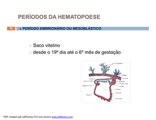 PERÍODOS DA HEMATOPOESE
     25          PERÍODO EMBRIONÁRIO OU MESOBLÁSTICO



                       ¤ Saco vitelino
                       ¤ desde o 19º dia até o 6º mês de gestação




PDF created with pdfFactory Pro trial version www.pdffactory.com
 