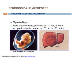 PERÍODOS DA HEMATOPOESE
     26          PERÍODO FETAL OU HEPATOESPLÊNICO




                – Fígado e Baço
                – Inicia precocemente, por volta do 1º mês, e torna-
                  se predominante entre o 3º e o 6º mês
                  gestacional.




                     EMBRIÃO DE 6 SEMANAS

PDF created with pdfFactory Pro trial version www.pdffactory.com
 