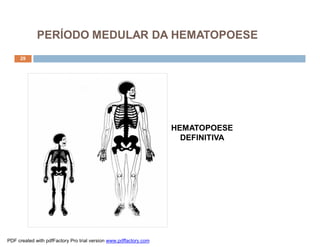 PERÍODO MEDULAR DA HEMATOPOESE
     29




                                                                   HEMATOPOESE
                                                                     DEFINITIVA




PDF created with pdfFactory Pro trial version www.pdffactory.com
 