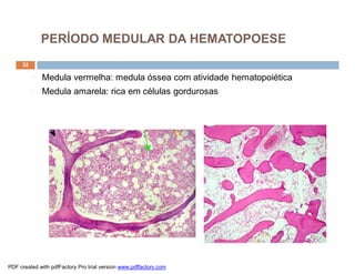 PERÍODO MEDULAR DA HEMATOPOESE
     32

          ¨   Medula vermelha: medula óssea com atividade hematopoiética
          ¨   Medula amarela: rica em células gordurosas




PDF created with pdfFactory Pro trial version www.pdffactory.com
 