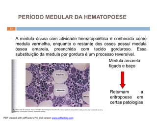 PERÍODO MEDULAR DA HEMATOPOESE
     33



      ¨   A medula óssea com atividade hematopoiética é conhecida como
          medula vermelha, enquanto o restante dos ossos possui medula
          óssea amarela, preenchida com tecido gorduroso. Essa
          substituição da medula por gordura é um processo reversível.
                                                        Medula amarela
                                                        fígado e baço




                                                                   Retomam         a
                                                                   eritropoese em
                                                                   certas patologias


PDF created with pdfFactory Pro trial version www.pdffactory.com
 