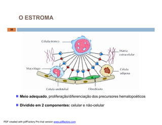 O ESTROMA
     35




              Meio adequado, proliferação/diferenciação dos precursores hematopoéticos

              Dividido em 2 componentes: celular e não-celular



PDF created with pdfFactory Pro trial version www.pdffactory.com
 