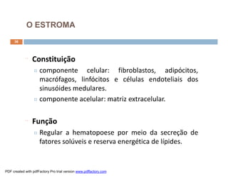 O ESTROMA
     36




            ¨    Constituição
                 ¤ componente    celular: fibroblastos, adipócitos,
                   macrófagos, linfócitos e células endoteliais dos
                   sinusóides medulares.
                 ¤ componente acelular: matriz extracelular.



            ¨    Função
                 ¤ Regular    a hematopoese por meio da secreção de
                     fatores solúveis e reserva energética de lípides.


PDF created with pdfFactory Pro trial version www.pdffactory.com
 