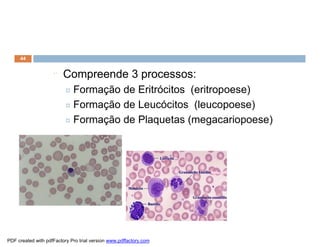 44


                    ¨    Compreende 3 processos:
                         ¤ Formação de Eritrócitos (eritropoese)
                         ¤ Formação de Leucócitos (leucopoese)

                         ¤ Formação de Plaquetas (megacariopoese)




           Fonte: br.geocities.com




PDF created with pdfFactory Pro trial version www.pdffactory.com
 