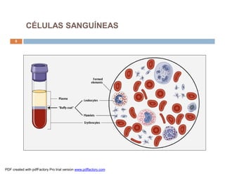 CÉLULAS SANGUÍNEAS
      6




PDF created with pdfFactory Pro trial version www.pdffactory.com
 