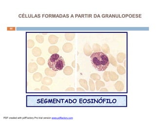 CÉLULAS FORMADAS A PARTIR DA GRANULOPOESE

     60




                              SEGMENTADO EOSINÓFILO

PDF created with pdfFactory Pro trial version www.pdffactory.com
 