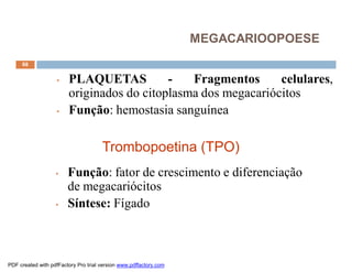 MEGACARIOOPOESE
     68


                   •    PLAQUETAS          -   Fragmentos      celulares,
                        originados do citoplasma dos megacariócitos
                   •    Função: hemostasia sanguínea

                                      Trombopoetina (TPO)
                   •    Função: fator de crescimento e diferenciação
                        de megacariócitos
                   •    Síntese: Fígado



PDF created with pdfFactory Pro trial version www.pdffactory.com
 