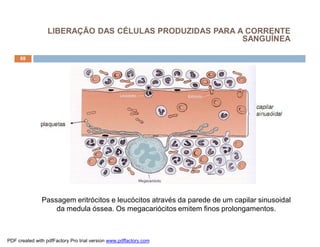 LIBERAÇÃO DAS CÉLULAS PRODUZIDAS PARA A CORRENTE
                                                         SANGUÍNEA

     69




               Passagem eritrócitos e leucócitos através da parede de um capilar sinusoidal
                   da medula óssea. Os megacariócitos emitem finos prolongamentos.



PDF created with pdfFactory Pro trial version www.pdffactory.com
 