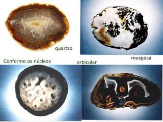 orbicular
Conforme os núcleos
musgosa
quartzo
 