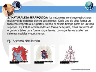 2.  NATURALEZA JERÁRQUICA:  La naturaleza construye estructuras multinivel de sistemas dentro de sistemas. Cada uno de ellos forma un todo con respecto a sus partes, siendo al mismo tiempo parte de un todo superior.  Ej. Células combinadas en forma de tejidos, éstos en forma de órganos y éstos para formar organismos. Los organismos existen en sistemas sociales y ecosistemas. Ej.  Sistema circulatorio 