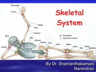 Skeletal System By Dr. Shamanthakamani Narendran 