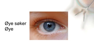 Øye søker
Øye
 
