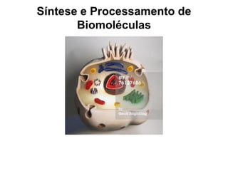 Síntese e Processamento de
Biomoléculas
 