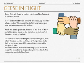 10
|
03. Teamwork
Teambuilding
MTL Course Topics
GEESE IN FLIGHT
Geese fly in a V shape to protect members of the flock and
to conserve energy.
As the bird in front travels forward, it leaves a gap behind it
called a vortex. This means that its following teammates
have less air resistance to fly against.
When the leader gets tired, it moves to the back of the V
and all the geese move up the formation so that each of
them gets a turn at leading.
The formation allows all the geese to keep an eye on each
other. This care and the technique of flying means that a
flock of geese can cover 70% more distance than a bird
flying on its own.
Because each bird maximizes its strength, it is also much
harder for predators to single out any bird for attack. This
ensures the survival of the flock.
 