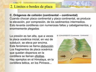 2. Límites o bordes de placa C. Orógenos de colisión (continental – continental) Cuando chocan placa continental y placa continental, se produce la elevación, por compresión, de los sedimentos intermedios. Esto levanta cordilleras con numerosas fallas y cabalgamientos, y enormemente plegadas La presión es tan alta, que a veces la placa oceánica inicial, en vez de subducir, se eleva por encima. Este fenómeno se llama  obducción Los fragmentos de placa oceánica que quedan dispersos en la cordillera se llaman  ofiolitas . Hay ejemplos en el Himalaya, en la cordillera bética, en los Pirineos... 