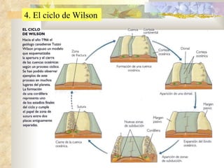 4. El ciclo de Wilson 