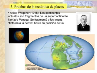 5. Pruebas de la tectónica de placas Alfred Wegener  (1915): Los continentes actuales son fragmentos de un supercontinente llamado Pangea. Se fragmentó y los trozos “flotaron a la deriva” hasta su posición actual 