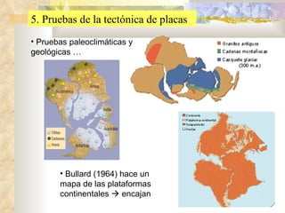 5. Pruebas de la tectónica de placas Pruebas paleoclimáticas y geológicas … Bullard (1964) hace un mapa de las plataformas continentales    encajan 