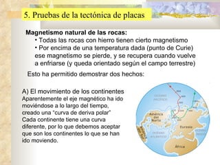 5. Pruebas de la tectónica de placas Magnetismo natural de las rocas: Todas las rocas con hierro tienen cierto magnetismo Por encima de una temperatura dada (punto de Curie) ese magnetismo se pierde, y se recupera cuando vuelve a enfriarse (y queda orientado según el campo terrestre) Esto ha permitido demostrar dos hechos: A) El movimiento de los continentes Aparentemente el eje magnético ha ido moviéndose a lo largo del tiempo, creado una “curva de deriva polar” Cada continente tiene una curva diferente, por lo que debemos aceptar que son los continentes lo que se han ido moviendo. 