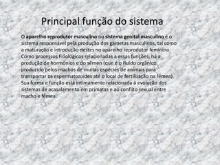 Principal função do sistema
O aparelho reprodutor masculino ou sistema genital masculino é o
sistema responsável pela produção dos gametas masculinos, tal como
a maturação e introdução destes no aparelho reprodutor feminino.
Como processos fisiológicos relacionadas a essas funções, há a
produção de hormônios e do sêmen (que é o fluido orgânico
produzido pelos machos de muitas espécies de animais para
transportar os espermatozoides até o local de fertilização na fêmea).
Sua forma e função está intimamente relacionada à evolução dos
sistemas de acasalamento em primatas e ao conflito sexual entre
macho e fêmea.

 