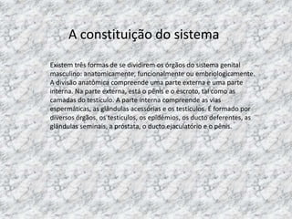 A constituição do sistema
Existem três formas de se dividirem os órgãos do sistema genital
masculino: anatomicamente, funcionalmente ou embriologicamente.
A divisão anatômica compreende uma parte externa e uma parte
interna. Na parte externa, está o pênis e o escroto, tal como as
camadas do testículo. A parte interna compreende as vias
espermáticas, as glândulas acessórias e os testículos. É formado por
diversos órgãos, os testículos, os epidémios, os ducto deferentes, as
glândulas seminais, a próstata, o ducto ejaculatório e o pênis.

 