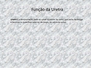 Função da Uretra
Uretra é a denominação dada ao canal condutor da urina, que parte da bexiga
e termina na superfície exterior do corpo, no pénis ou vulva.

 