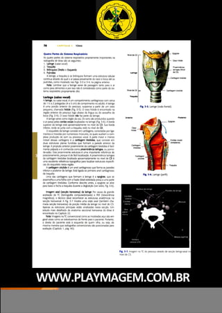 WWW.PLAYMAGEM.COM.BR
 