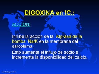 DIGOXIN A  en  IC .: AC C ION: Inhibe la acción de la  Atp-asa  de la   bomba  Na/K   en la membrana del sarcolema.  Esto aumenta el influjo de sodio e incrementa la disponibilidad del calcio . 