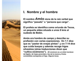 El nombre Amós viene de la raíz verbal que
significa “pesado” o “persona que carga”.
El profeta se identifica como oriundo de Tecoa,
un pequeña aldea situada a unos 8 kms al
sudeste de Belén.
Amós era hombre de campo y describe su
profesión con varias expresiones. En 1:1 dice
que es “pastor de ovejas pintas”; y en 7:14 dice
que cuida bueyes y además recoge higos
silvestres (otras traducciones dicen que
“cultiva sicómoros”). (El sicómoro es un árbol moráceo
de Egipto, de hojas parecidas a las de la morera y frutos
comestibles semejantes al higo. Higuera loca).
I. Nombre y el hombre
 