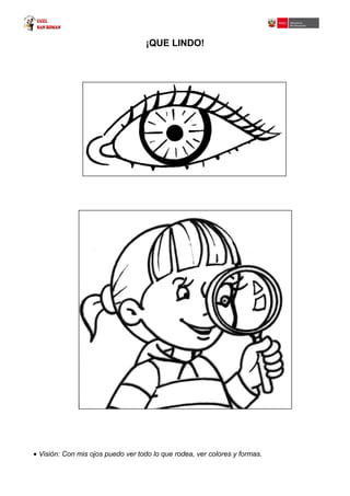 ¡QUE LINDO!
• Visión: Con mis ojos puedo ver todo lo que rodea, ver colores y formas.
 