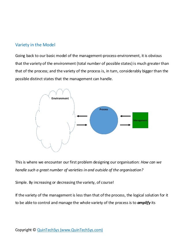 Viable System Model - Part 01