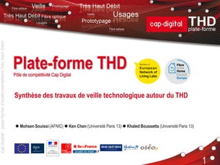 Cap Digital - plate-forme d'expérimentations Très Haut Débit




                                                               Plate-forme THD
                                                               Pôle de compétitivité Cap Digital



                                                               Synthèse des travaux de veille technologique autour du THD



                                                                 Mohsen Souissi (AFNIC)  Ken Chen (Université Paris 13)  Khaled Boussetta (Université Paris 13)




                                                                                                                                              Tecdev | 28/01/11
                                                                                                                                                                     1
 