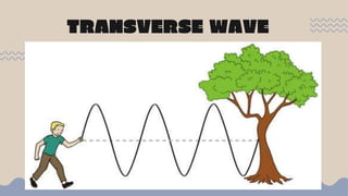 TRANSVERSE WAVE
 