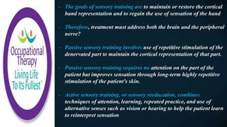 - The goals of sensory training are to maintain or restore the cortical
hand representation and to regain the use of sensation of the hand
- Therefore, treatment must address both the brain and the peripheral
nerve?
- Passive sensory training involves use of repetitive stimulation of the
denervated part to maintain the cortical representation of that part.
- Passive sensory training requires no attention on the part of the
patient but improves sensation through long-term highly repetitive
stimulation of the patient's skin.
- Active sensory training, or sensory reeducation, combines
techniques of attention, learning, repeated practice, and use of
alternative senses such as vision or hearing to help the patient learn
to reinterpret sensation
 