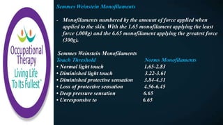 Semmes Weinstein Monofilaments
- Monofilaments numbered by the amount of force applied when
applied to the skin. With the 1.65 monofilament applying the least
force (.008g) and the 6.65 monofilament applying the greatest force
(300g).
Semmes Weinstein Monofilaments
Touch Threshold Norms Monofilaments
• Normal light touch 1.65-2.83
• Diminished light touch 3.22-3.61
• Diminished protective sensation 3.84-4.31
• Loss of protective sensation 4.56-6.45
• Deep pressure sensation 6.65
• Unresponsive to 6.65
 