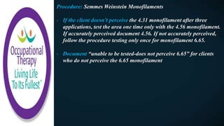 Procedure: Semmes Weinstein Monofilaments
- If the client doesn’t perceive the 4.31 monofilament after three
applications, test the area one time only with the 4.56 monofilament.
If accurately perceived document 4.56. If not accurately perceived,
follow the procedure testing only once for monofilament 6.65.
- Document “unable to be tested-does not perceive 6.65” for clients
who do not perceive the 6.65 monofilament
 