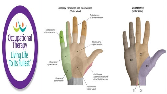 Occupational Therapy Sensory Testing And Intervention