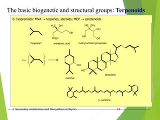 3. Secondary metabolites and Biosynthesis (Dayrit) 10
The basic biogenetic and structural groups: Terpenoids
b. Isoprenoids: MVA  terpenes, steroids; MEP  carotenoids
=
CO2H
OH
H3C OH
"isoprene" mevalonic acid
n x
OH
menthol
HO
lanosterol
-carotene

HO
CH3
HO
OP
OH
methyl erthritol phosphate
 