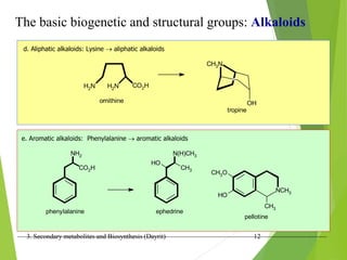 3. Secondary metabolites and Biosynthesis (Dayrit) 12
d. Aliphatic alkaloids: Lysine  aliphatic alkaloids
H2N CO2H
H2N
ornithine
CH3N
OH
tropine
e. Aromatic alkaloids: Phenylalanine  aromatic alkaloids
phenylalanine
CO2H
NH2
ephedrine
N(H)CH3
HO
CH3
NCH3
CH3
CH3O
HO
pellotine
The basic biogenetic and structural groups: Alkaloids
 