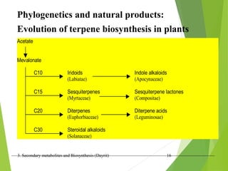 3. Secondary metabolites and Biosynthesis (Dayrit) 16
Phylogenetics and natural products:
Evolution of terpene biosynthesis in plants
Acetate
Mevalonate
C10 Iridoids Indole alkaloids
(Labiatae) (Apocynaceae)
C15 Sesquiterpenes Sesquiterpene lactones
(Myrtaceae) (Compositae)
C20 Diterpenes Diterpene acids
(Euphorbiaceae) (Leguminosae)
C30 Steroidal alkaloids
(Solanaceae)
 