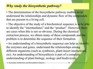 3. Secondary metabolites and Biosynthesis (Dayrit) 19
Why study the biosynthetic pathway?
• The determination of the biosynthetic pathway enables us to
understand the relationships and dynamic flow of the compounds
that are present in a living cell.
• The objective of the study of a biochemical sequence is to be able
to identify the “intermediates” and the “product”. However, there
are cases when this is not so obvious. During the chemical
extraction process, we obtain many of these compounds and the
problem is to determine the sequence of their formation.
• An understanding of a biosynthetic sequence can help us identify
the enzymes and genes, understand the relationships among
different organisms (such as symbiosis, plant-insect interactions,
etc). An understanding of biosynthesis is part of a complete
understanding of plant biology, ecology and biodiversity.
 