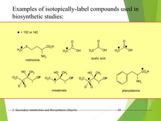 3. Secondary metabolites and Biosynthesis (Dayrit) 28
Examples of isotopically-label compounds used in
biosynthetic studies:
.
.
= 13C or 14C
H3C
S CO2H
NH2
.
methionine
H3C
C
OH
O
D3C
C
OH
O
H3C
C
OH
O
.
.
acetic acid
-O2C OP
CH3
HO
.
mevalonate
2 5
CO2H
NH2
.
phenylalanine
5
2
.
-O2C OP
CH3
HO
D
D
-O2C OP
CH3
HO
D
D
2 5
 